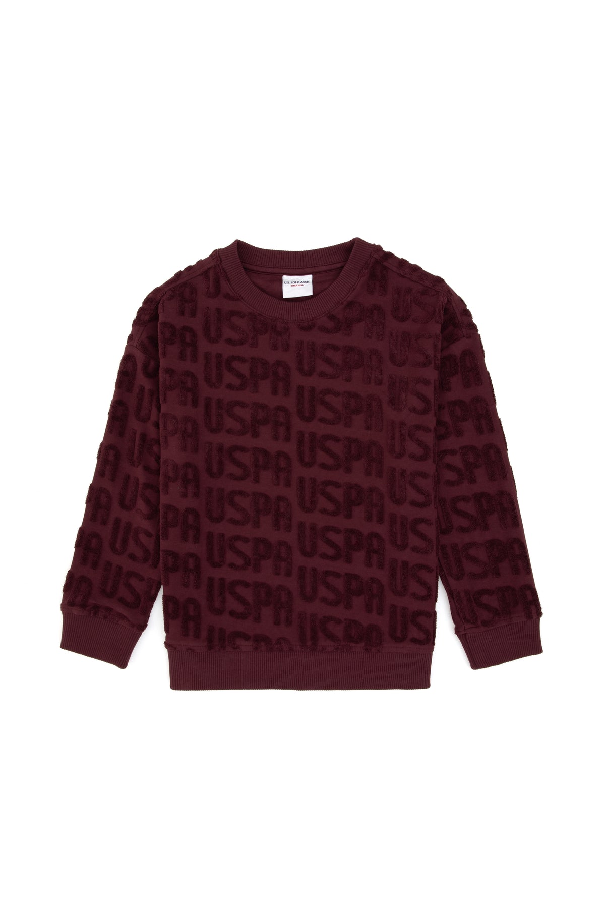 SWEAT-SHIRT GARÇON DACHARY PRUNE