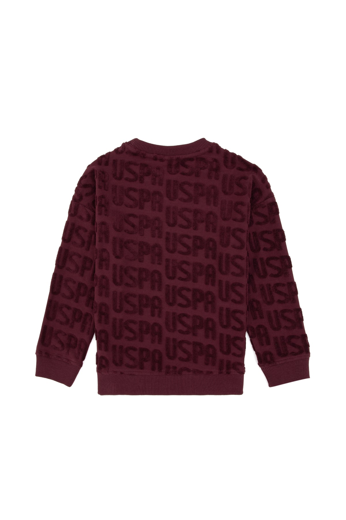 SWEAT-SHIRT GARÇON DACHARY PRUNE