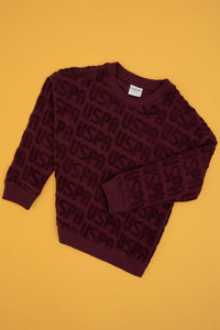 SWEAT-SHIRT GARÇON DACHARY PRUNE