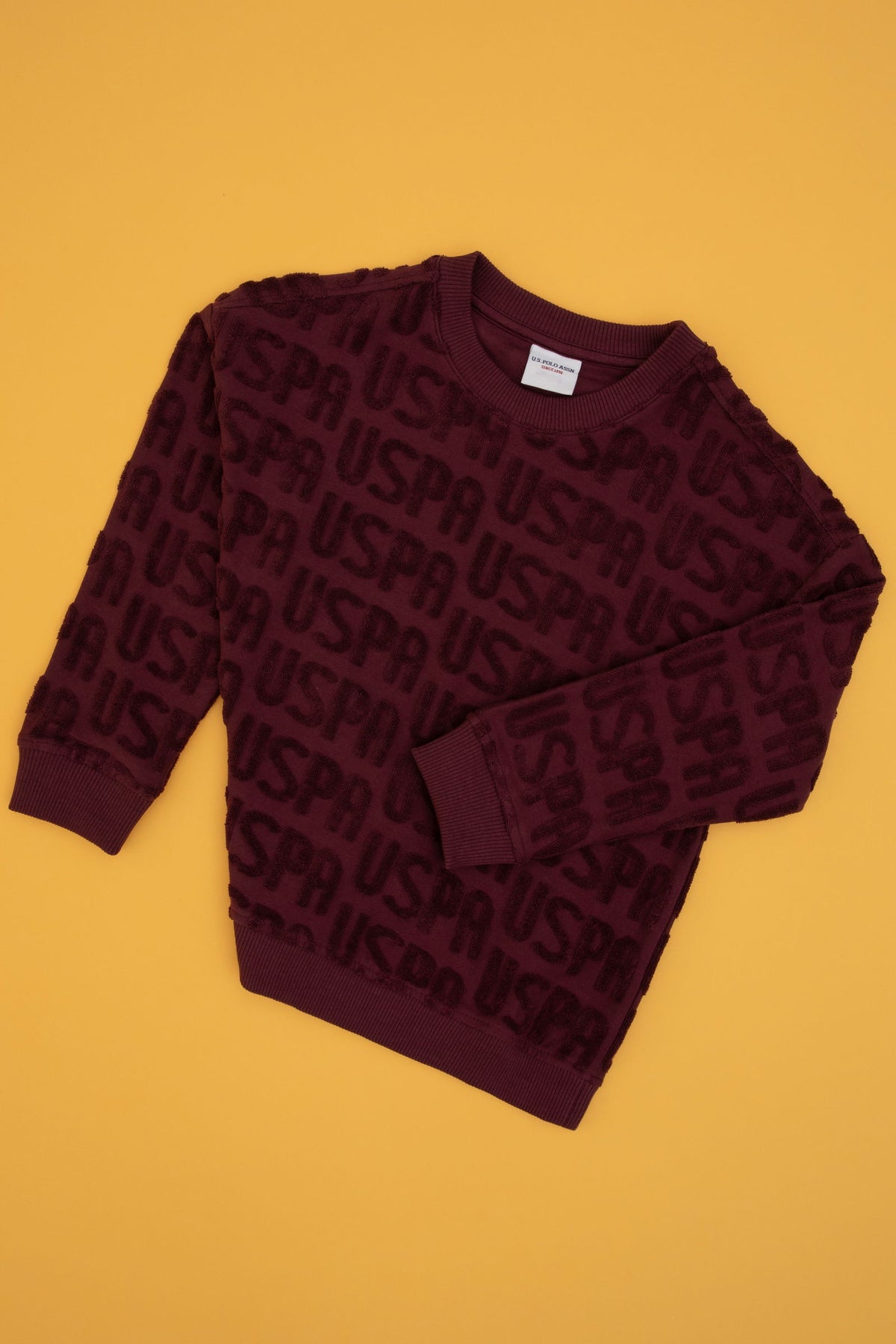 SWEAT-SHIRT GARÇON DACHARY PRUNE