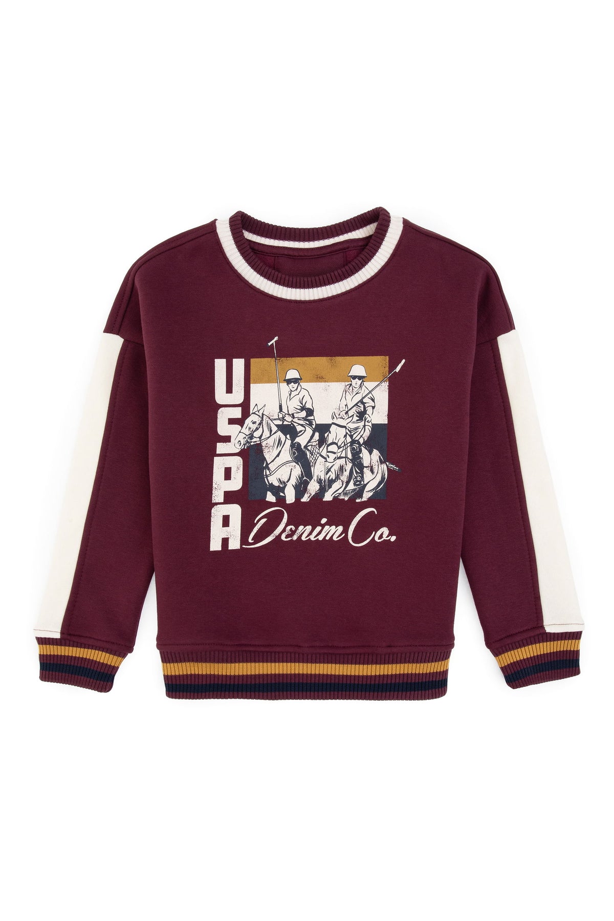 SWEAT-SHIRT GARÇON D-DOLI PRUNE