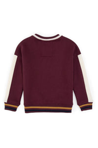 SWEAT-SHIRT GARÇON D-DOLI PRUNE
